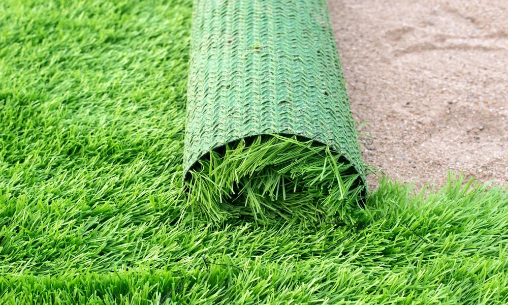Essential Turf Grass Varieties Delivering Lasting Visual Appeal across Open Spaces